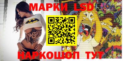 стаф Краснодар