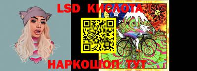 стаф Краснодар