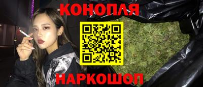 стаф Краснодар